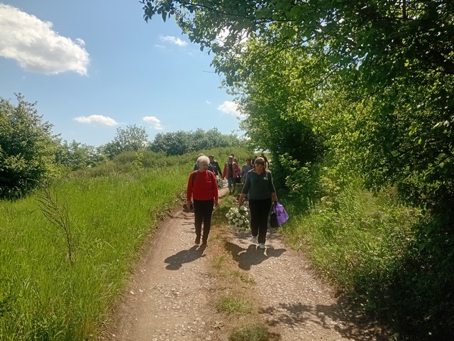 photo 23 05 2025 02
